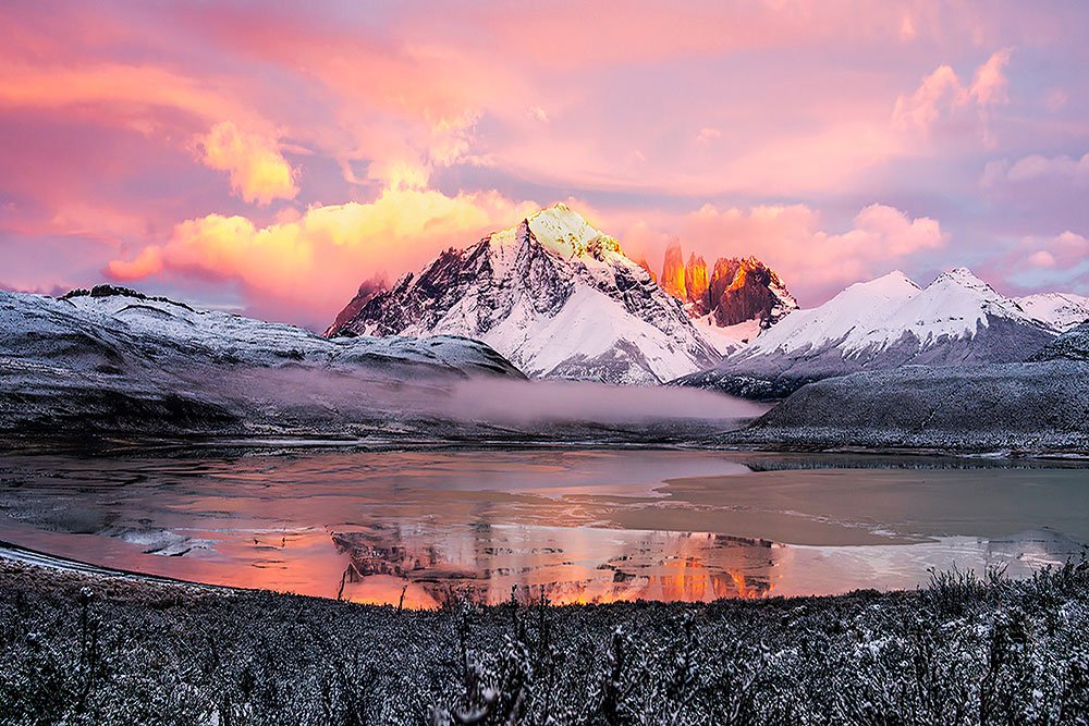 Patagonia Untamed wildlife photography